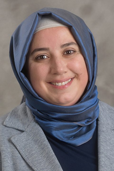 SUNY Oswego Division of Extended Learning International Language Education Center Coordinator Ebru Altay Damkasi