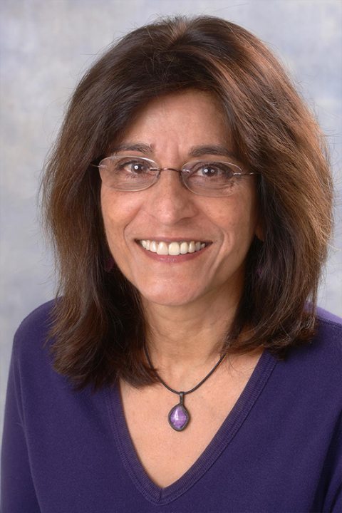 SUNY Oswego Division of Extended Learning ESL Instructor Gurdeep Skolnik