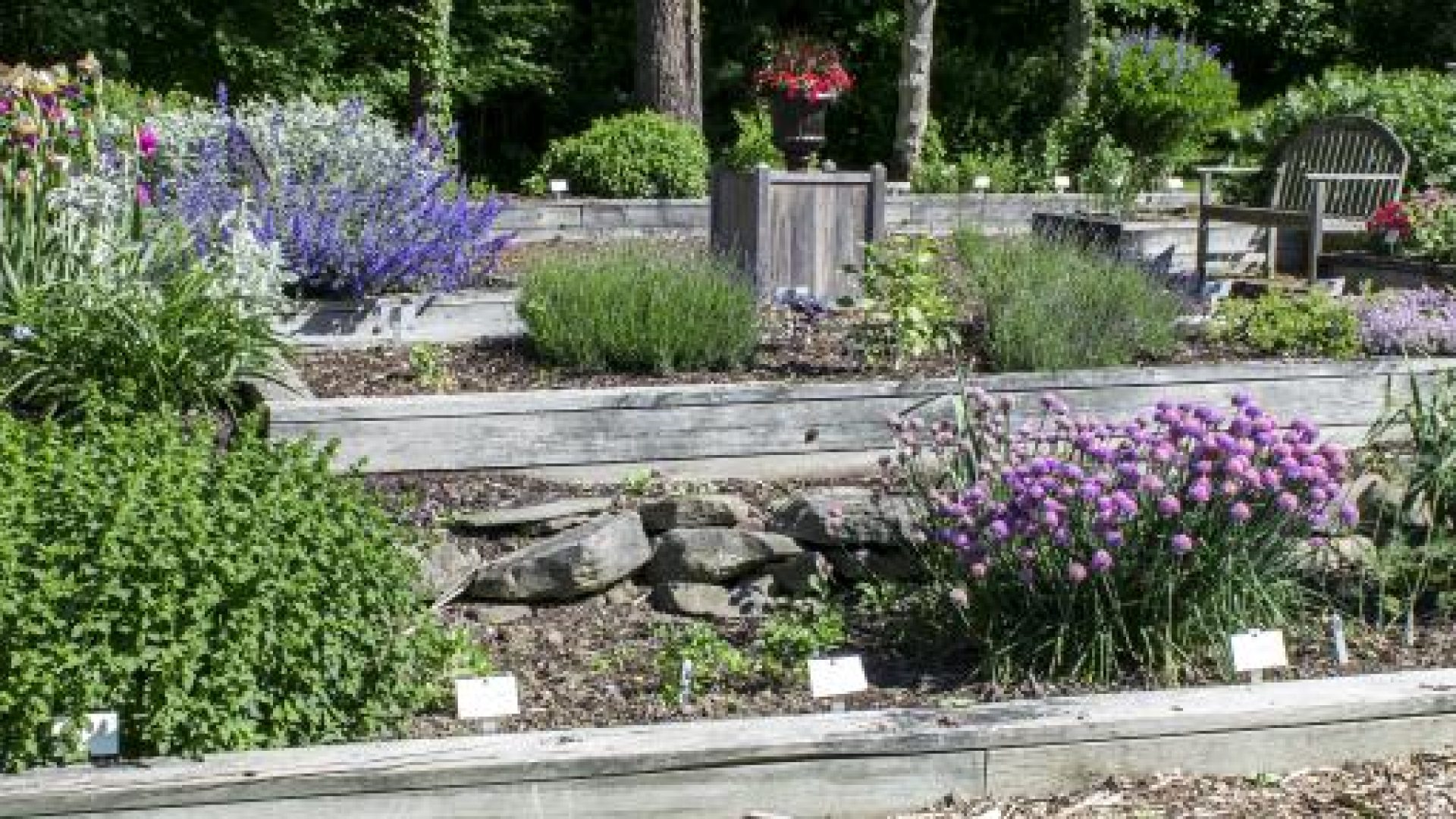 Rice Creek Field Station garden