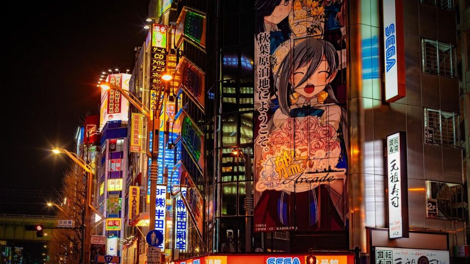 Evening City Scape of Japan