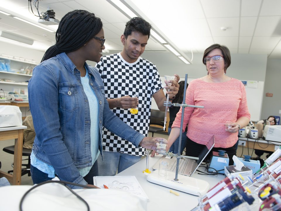 Students working with a professor to conduct a chemistry experiment using laboratory equipment and glassware in a science lab.