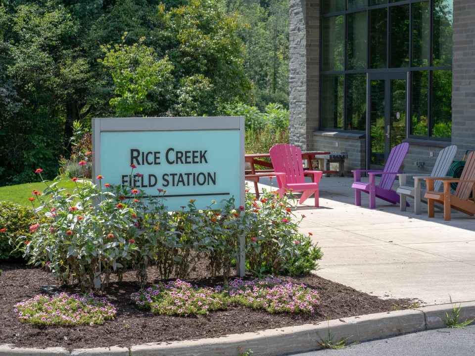 Sign for Rice Creek Field Station outside the building with colorful Adirondack chairs and landscaping.