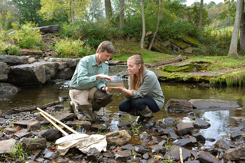Student and faculty member working on biology field project