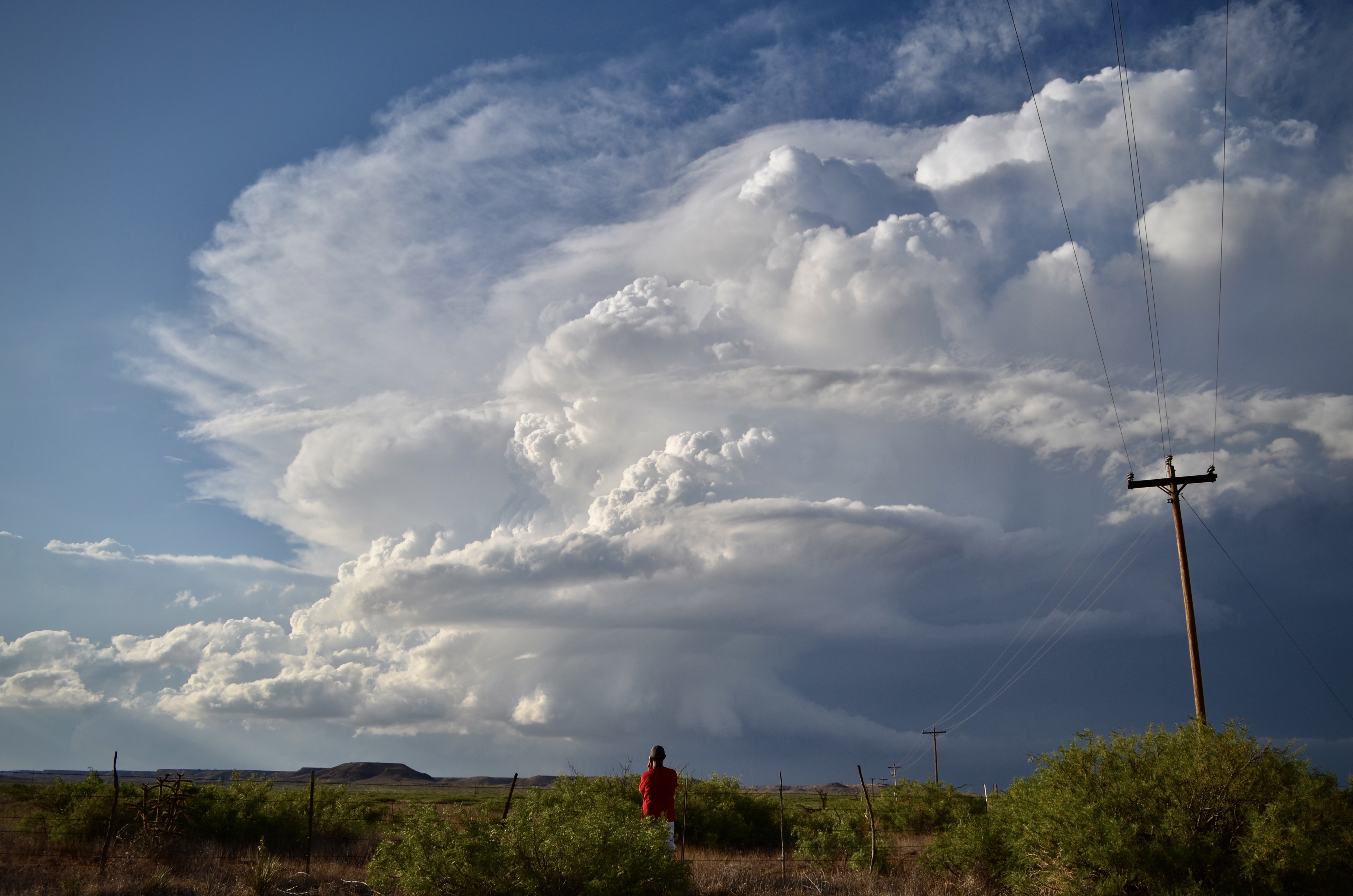 An Oswego Chaser standing below a storm cloud in the distance. An Oswego Chaser standing below a storm cloud in the distance.