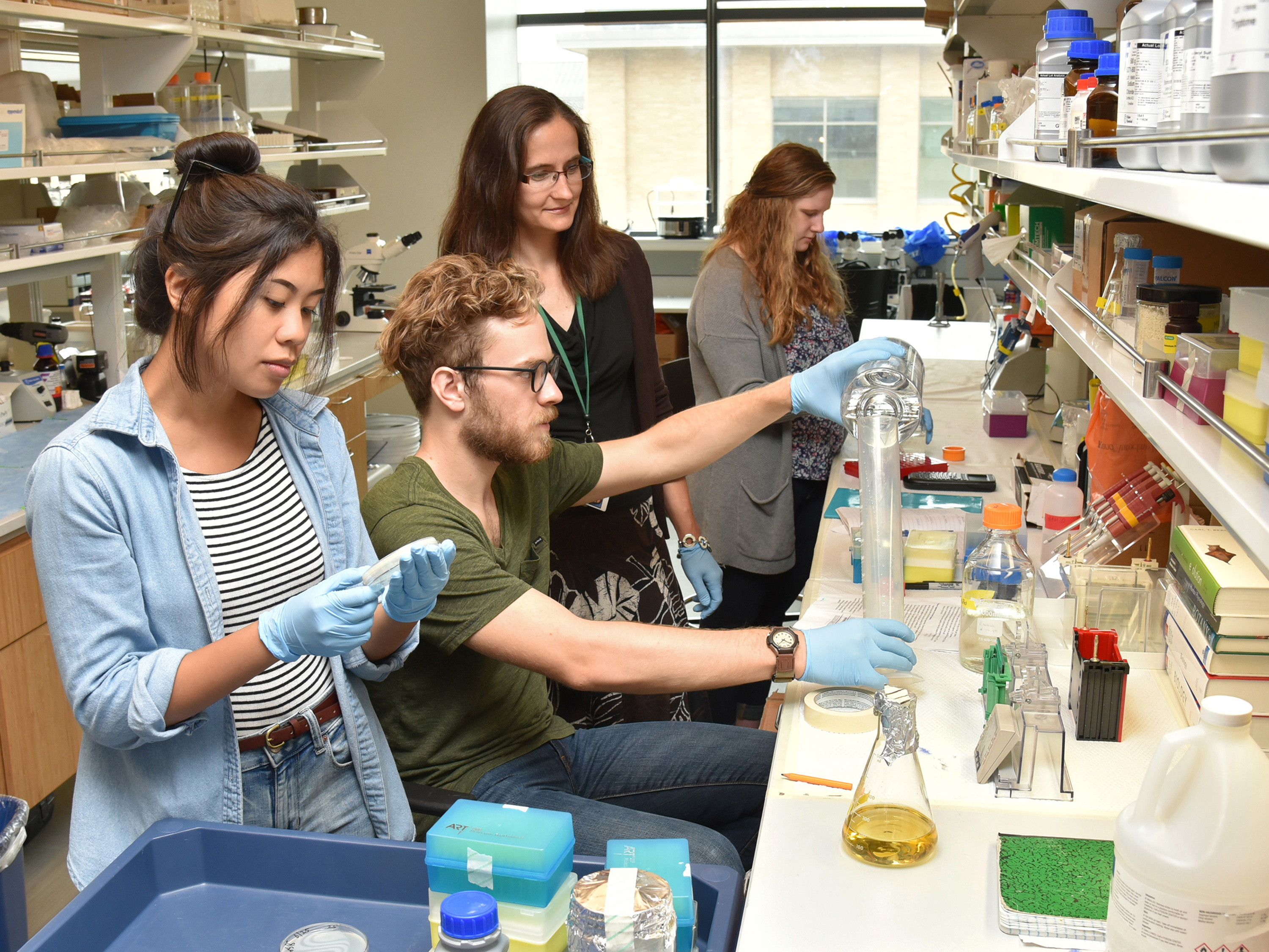 Faculty honored for outstanding research accomplishments