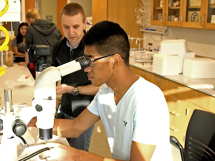 Student benefits -- Recipient of a National Science Foundation Early Career Development Grant, Christopher Chandler, one of six SUNY Oswego faculty who have reached award-winning levels of cumulative external funding, works with then-student Yadong Wang in a biological sciences lab. A strategic effort is under way to encourage more grant submissions from faculty members in disciplines across campus.
