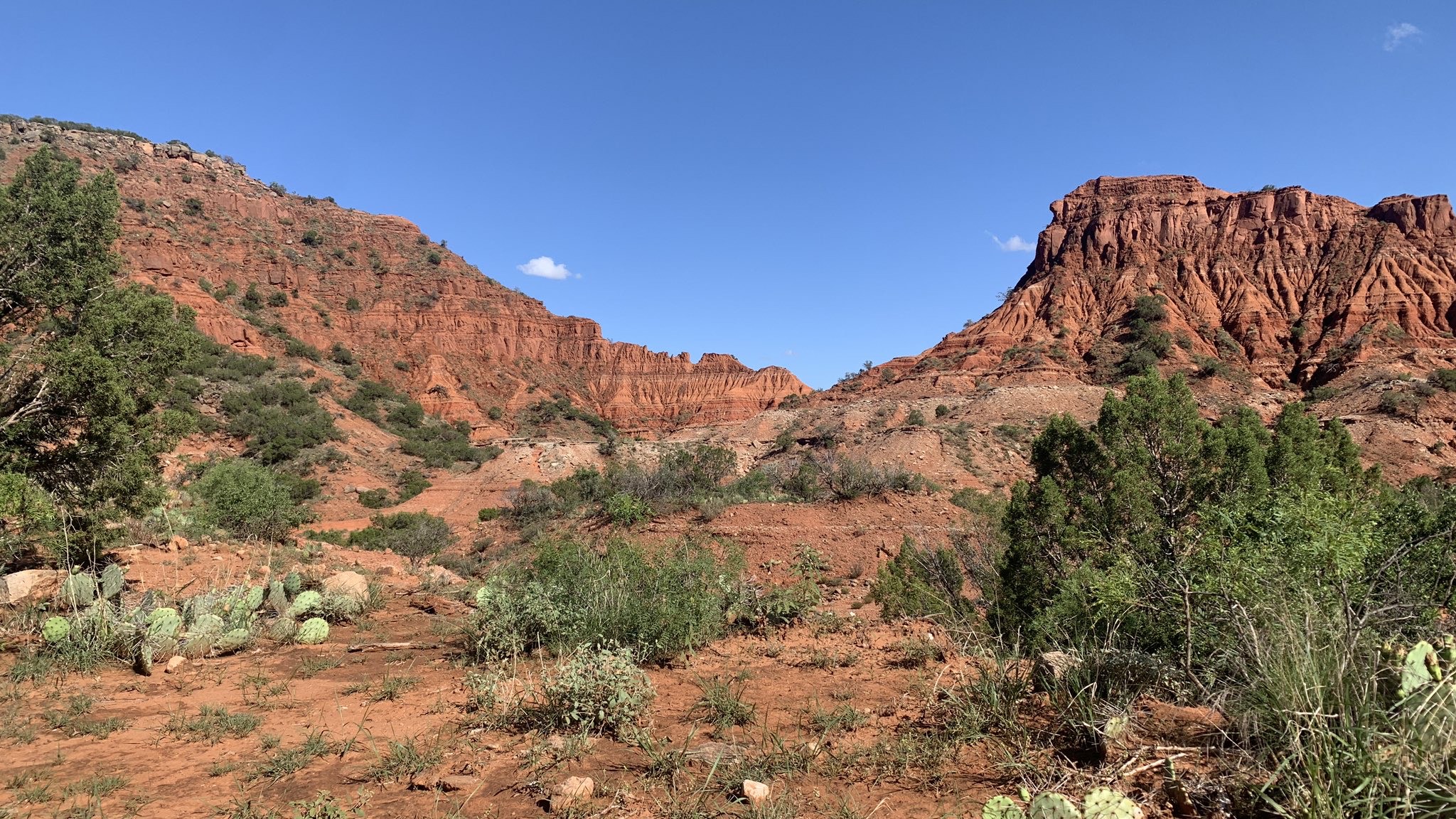 Canyons and cacti in the Texas Panhandle. Canyons and cacti in the Texas Panhandle.