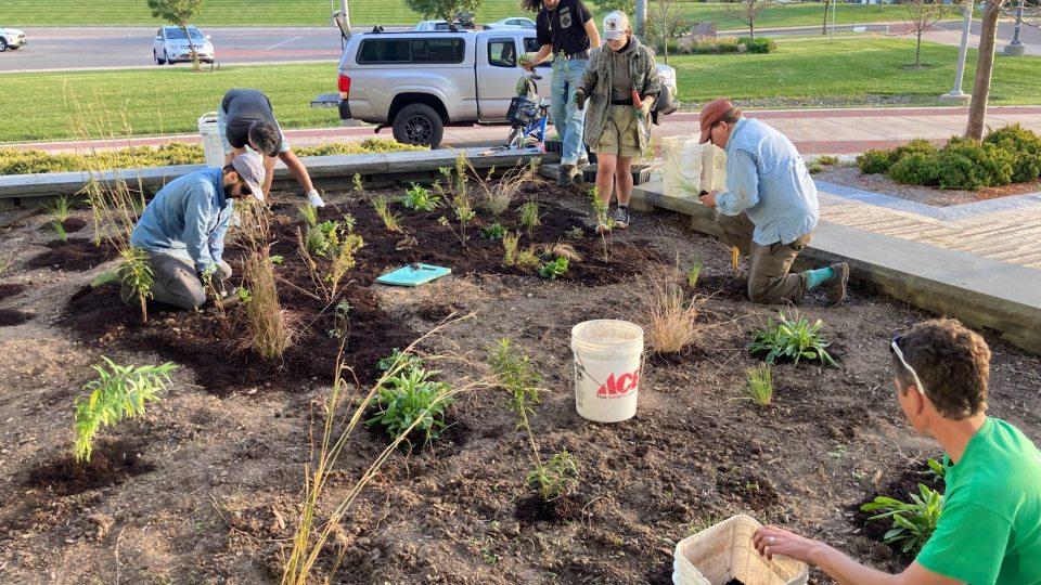 Students, faculty, staff and volunteers maintain the alvar garden on campus, one of many initiatives dovetailing with SUNY Oswego's recent Bee Campus USA designation