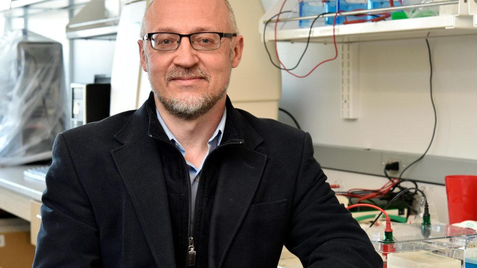 Consistently going above and beyond has earned Kestas Bendinskas of Oswego’s chemistry faculty SUNY's prestigious rank of Distinguished Service Professor.