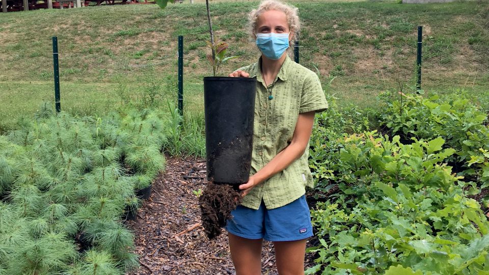 Canal Forest Restoration Project/Rice Creek intern Piper Warren with tree