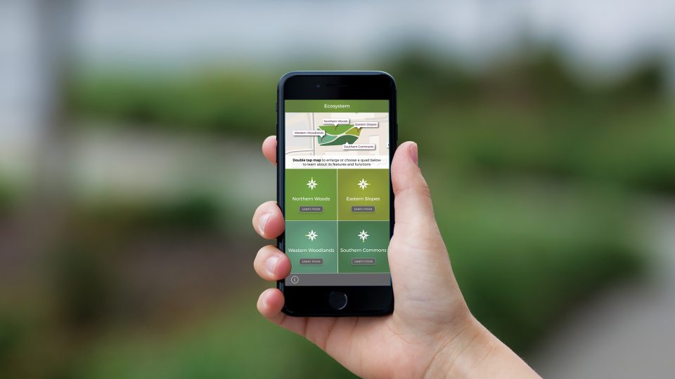 App designed by Lily Choi