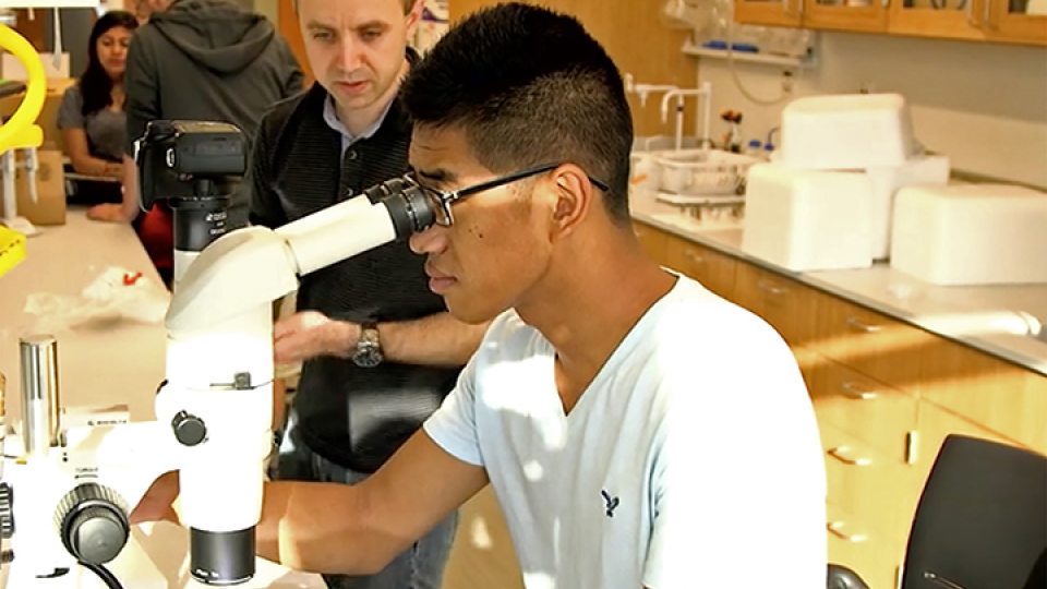 Faculty-student research opportunities abound at Oswego