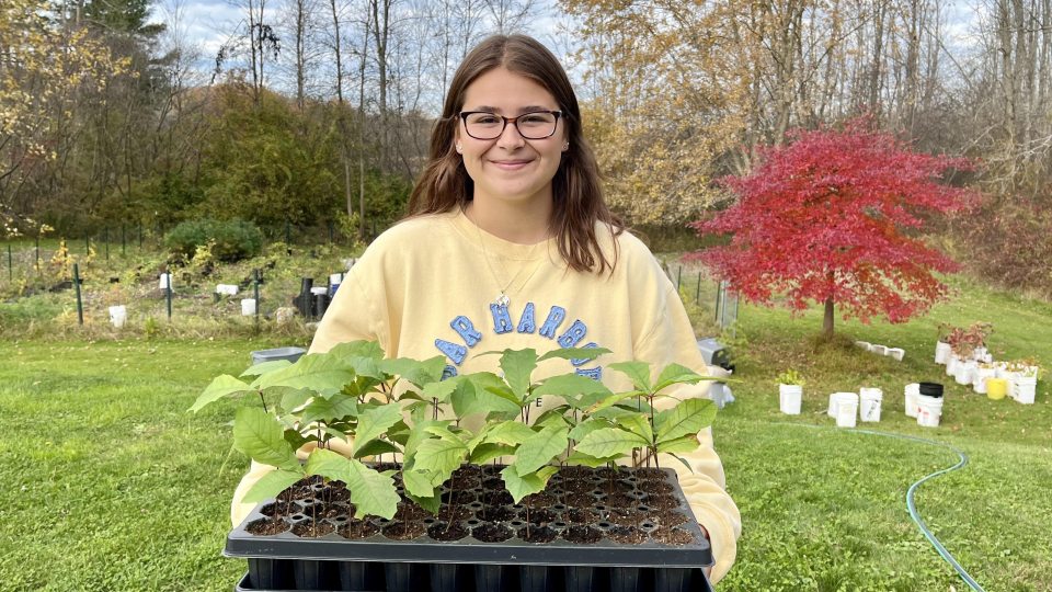 Zoology major and intern Sarah McCauliffe holds a tray of saplings
