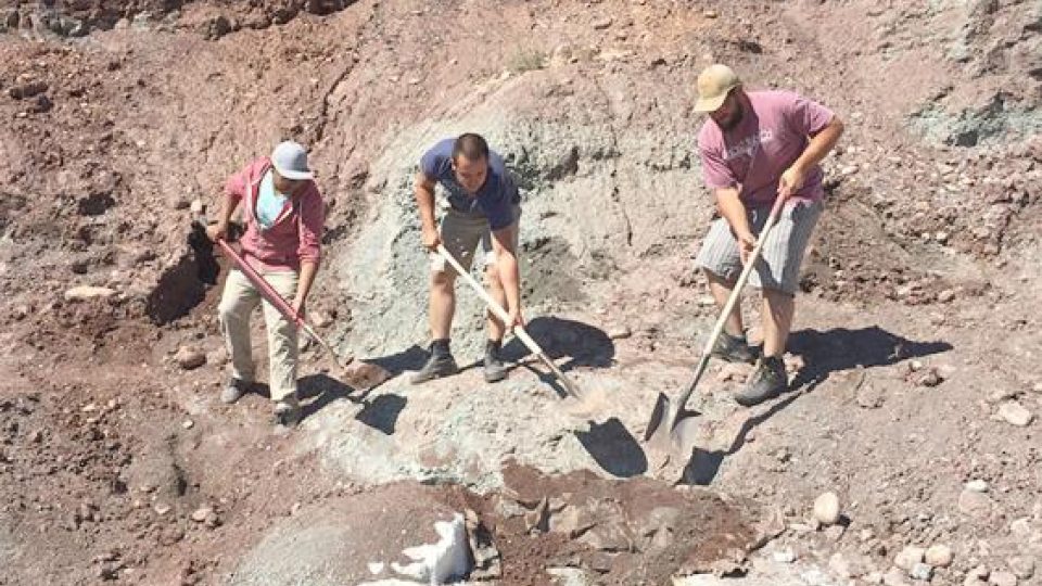 Students digging