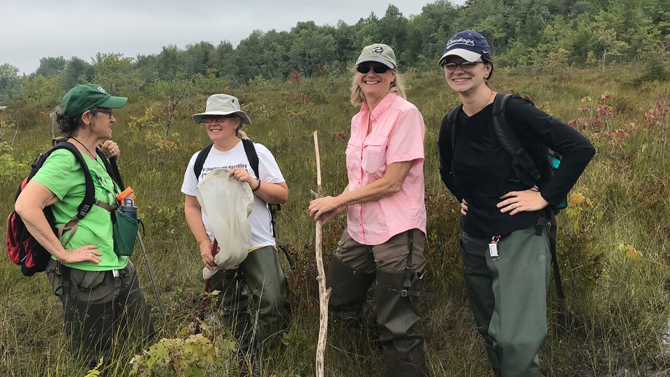 Scientists working in a wetland