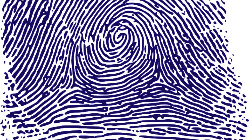 Fingerprint image, courtesy of WikiMedia