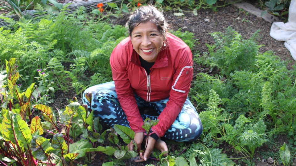 Mariaelena Huambachado is an internationally recognized food researcher