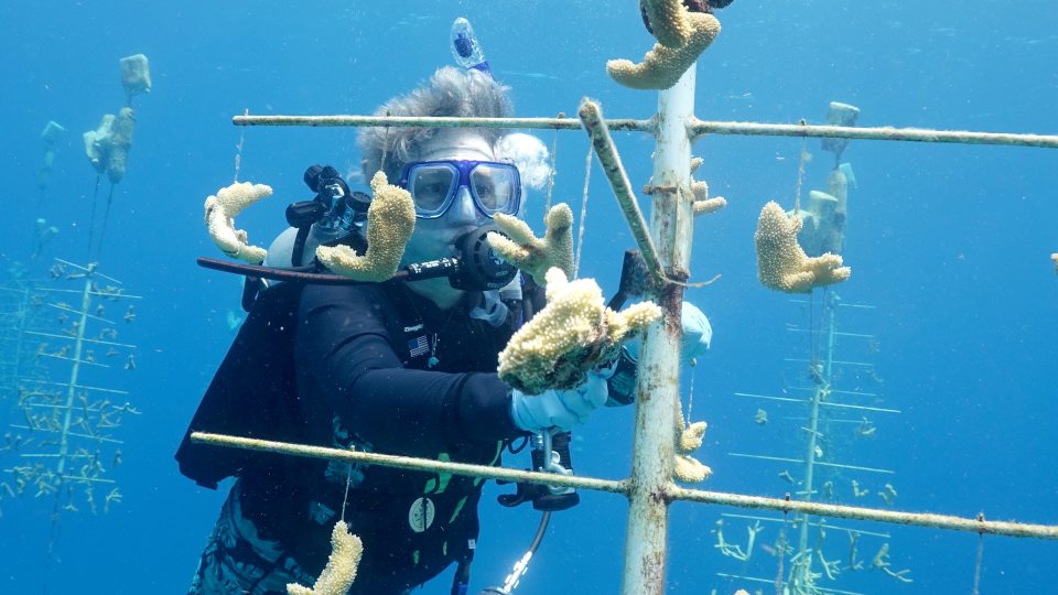 Sheila Sicilia takes part in a dive during a study-abroad trip to Honduras