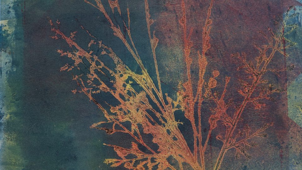 Multicolor painting that looks like sprigs of plants against green background