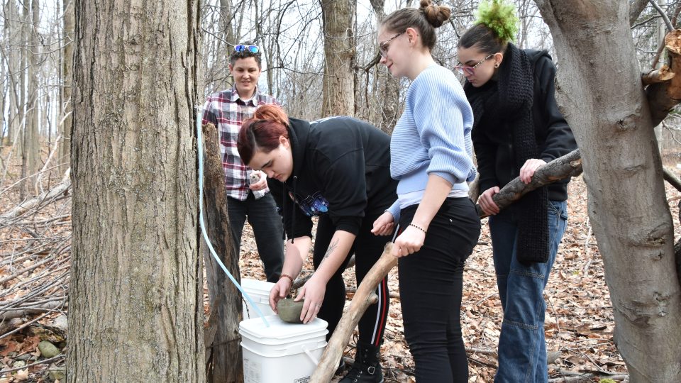 Students collect maple sap that will become syrup