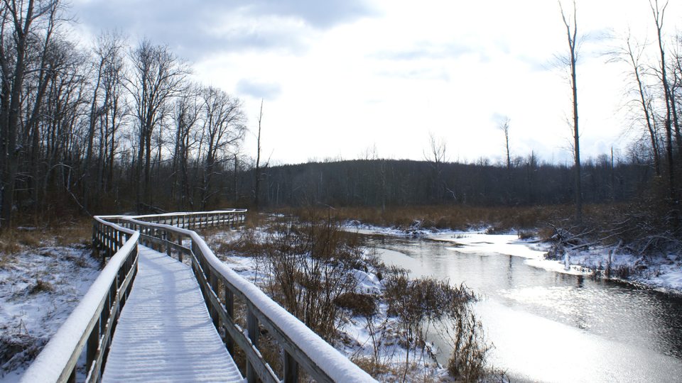 Snow on bridge across stream at Rice Creek
