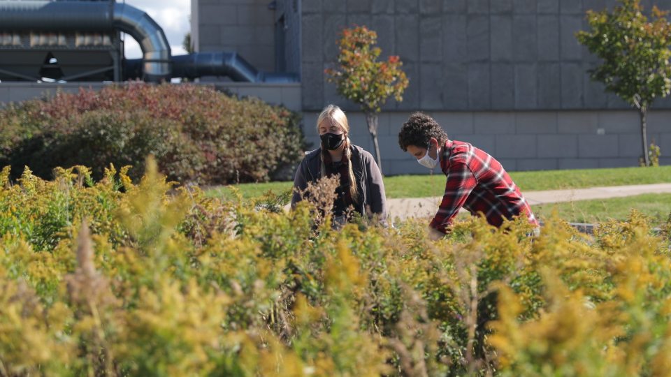 Intern Sarah Smelko and Campus Sustainability Manager Kate Spector, both with the college's Office of Sustainability, work in the redeveloped Permaculture Learning Laboratory, a large community garden between Shineman Center and Lee Hall