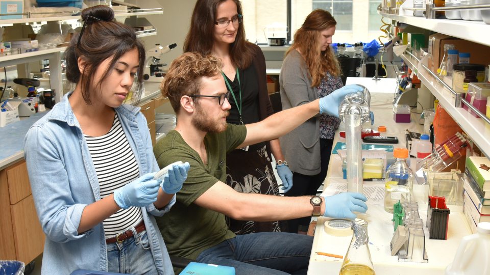Yulia Artemenko works on a grant-funded research project with students