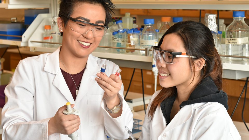 Students in a biochemistry lab researching disease-stress relationship