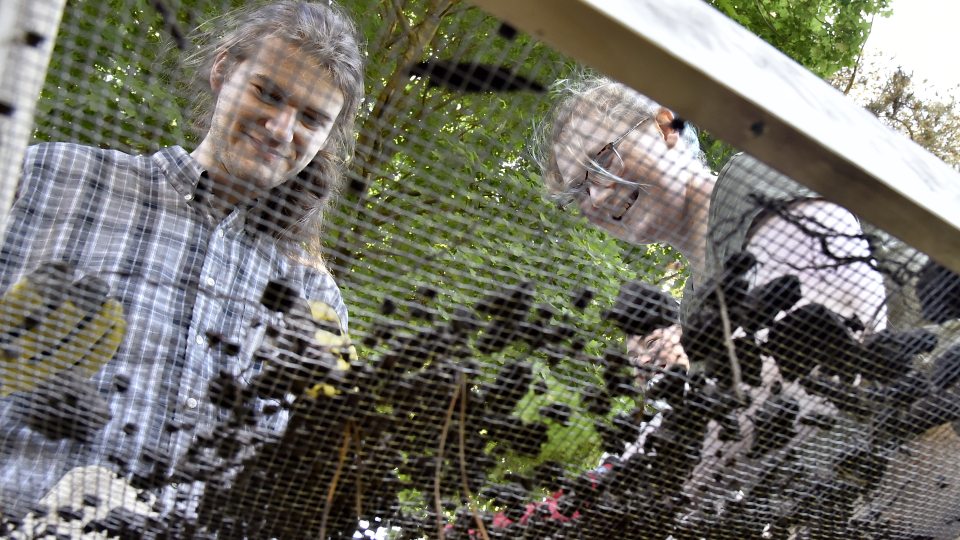 Two anthropology students viewed through a straining screen as they look for materials during a dig at the Richardson-Bates House