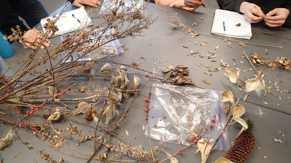 A table holds some collected plants and people taking notes