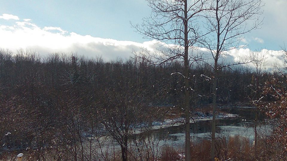 Winter scene of Rice Pond and trees at Rice Creek Field Station