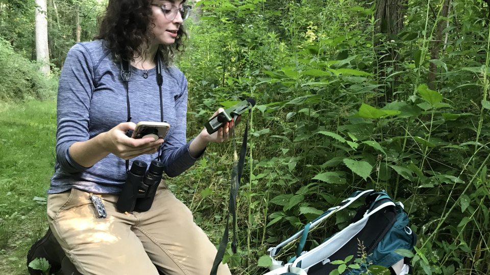 Junior zoology major Brooke Goodman checks on some automatic recording units in Rice Creek Field Station in summer 2021, part of an ongoing study on how human noise pollution impacts birds' song repertoires