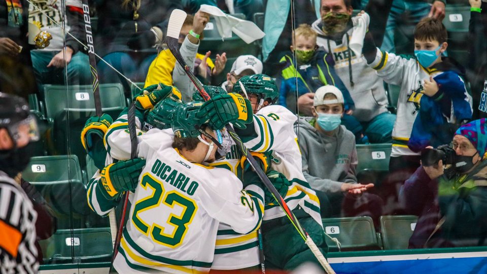 Laker men's hockey players celebrate a goal in front of happy home fans