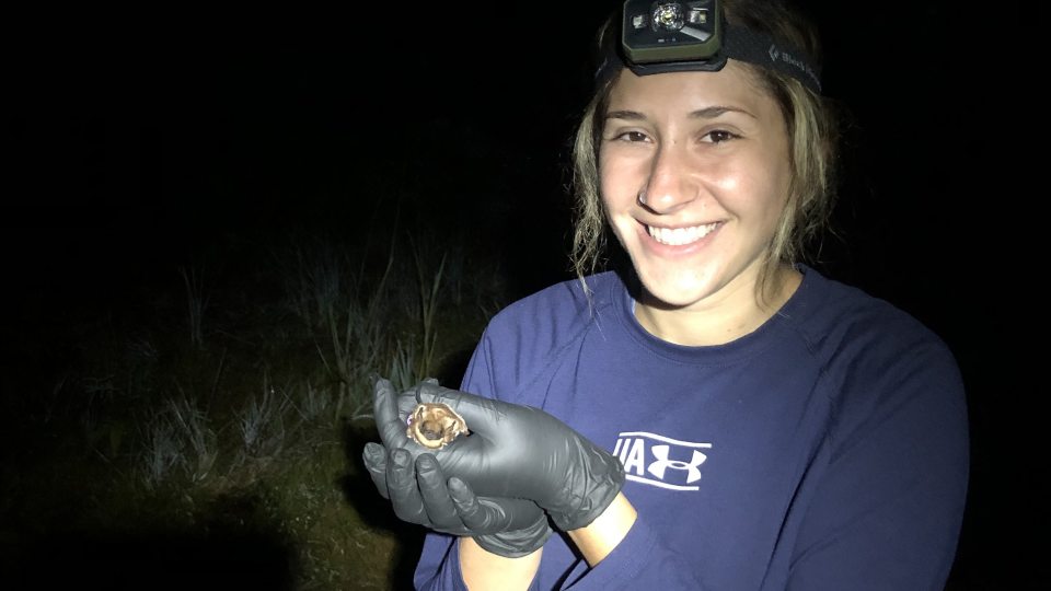 SUNY Oswego 2018 zoology graduate Gabrielle Solomon, shown here working on a current conservation project in Hawaii