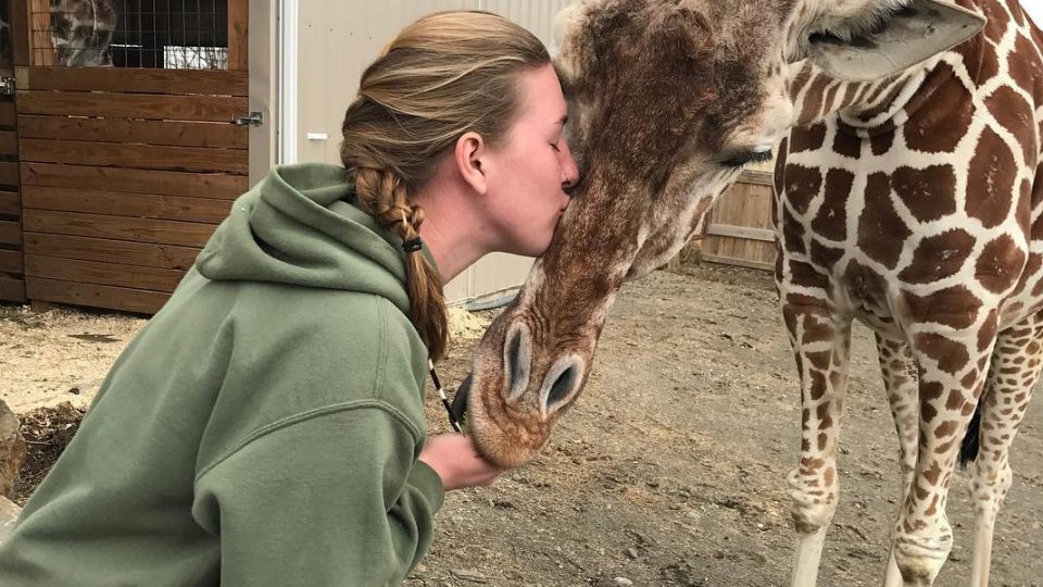 Allysa Swilley kisses giraffe