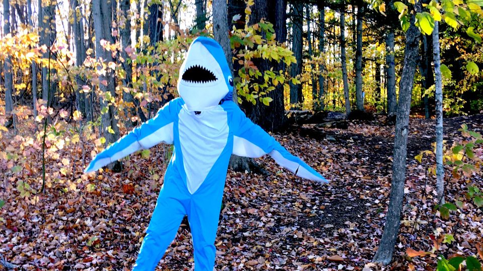 A shark -- or perhaps a human in a shark costume -- stands along a Rice Creek field station trail