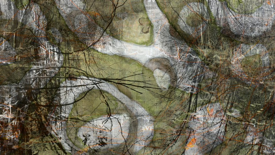 Multimedia piece by Amy Bartell