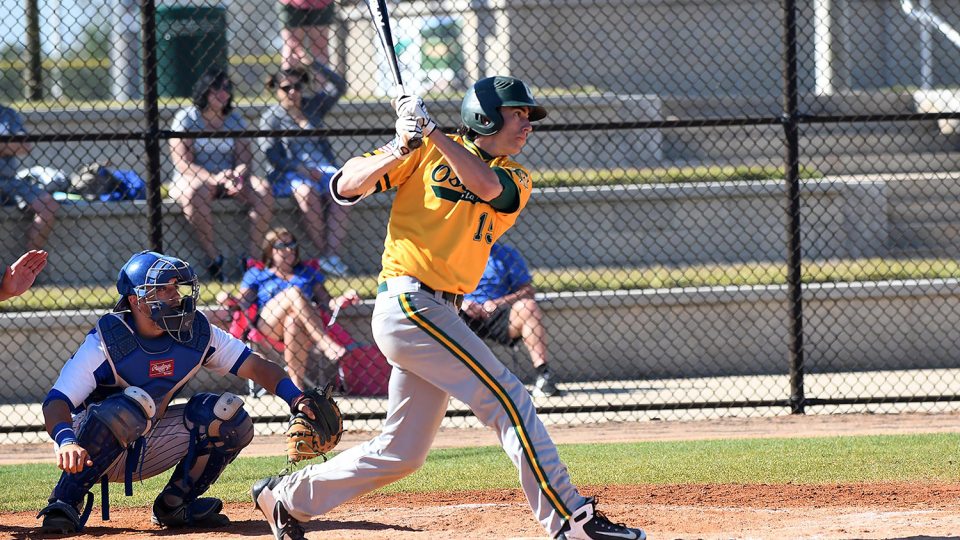 Laker baseball player Mike Dellicari raps out an extra-base hit