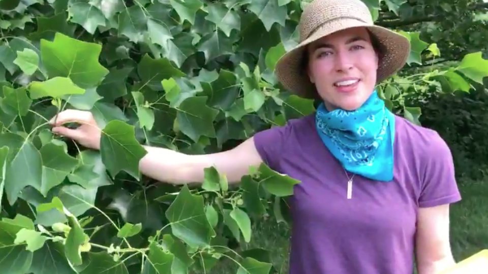 Kristen Haynes presents online Exploring Nature program