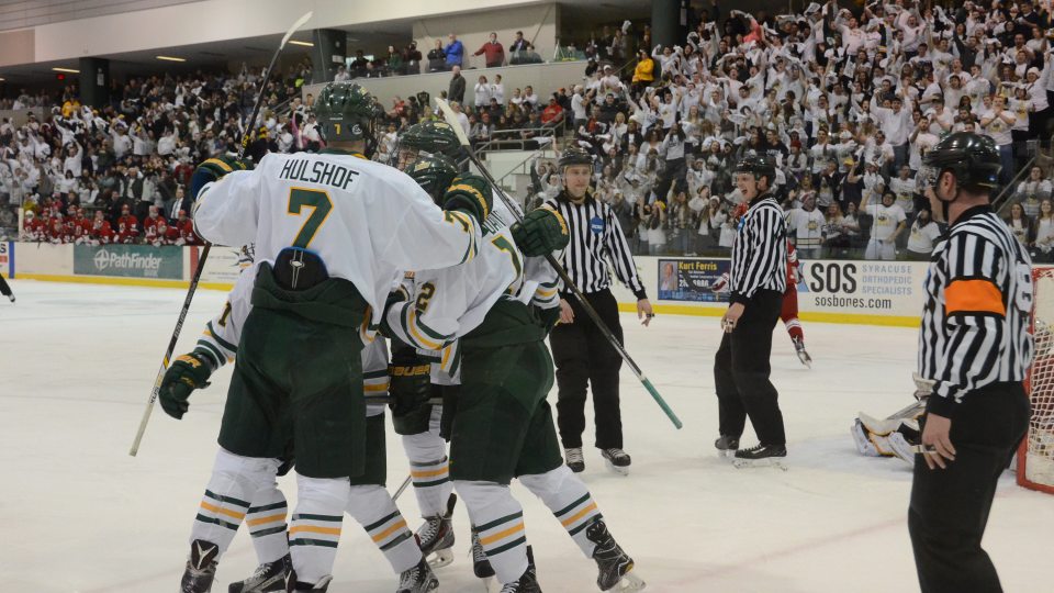 Men's hockey players celebrate goal
