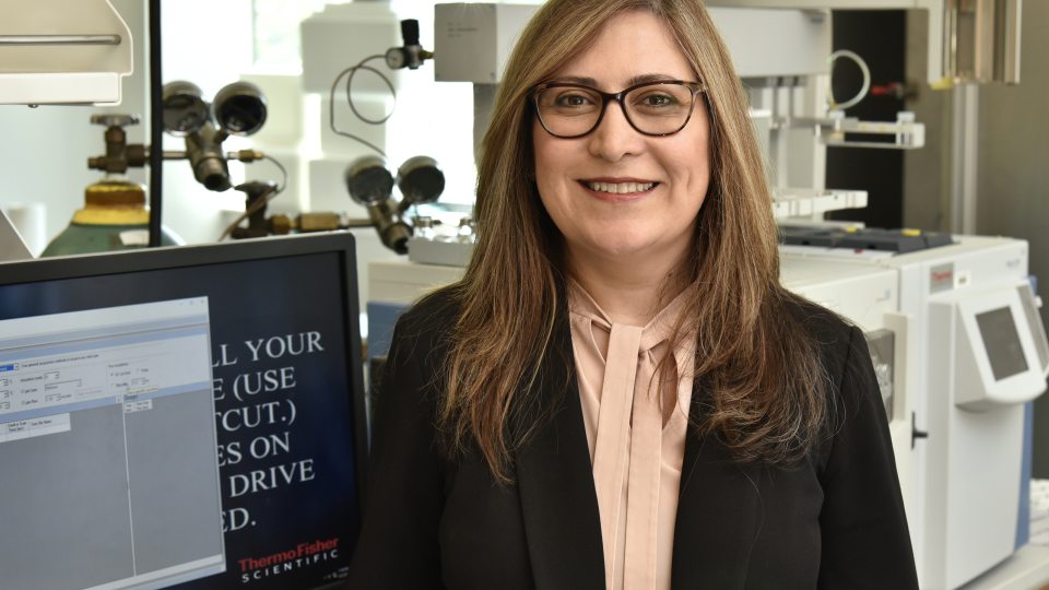 Shown in a chemistry lab, chemistry faculty member Shokouh Haddadi recently earned the campus Provost’s Award for Mentoring in Scholarly and Creative Activity for leading students to academic, research and career success.