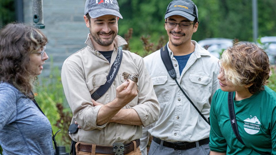 Ornithology research at Rice Creek Field Station by biological sciences faculty member Daniel Baldassare (second from left, with birds) and students, from left, Brooke Goodman, Denis Ramos and Shyla Luna.