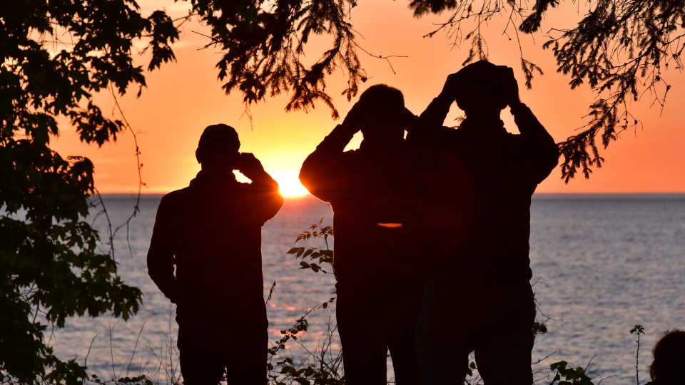 Alumni check out a gorgeous sunset over Lake Ontario