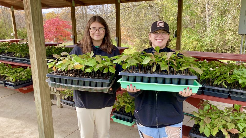 Students giving away trees at Rice Creek Field Station
