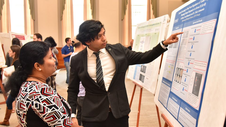A Summer Scholars student gives a poster presentation