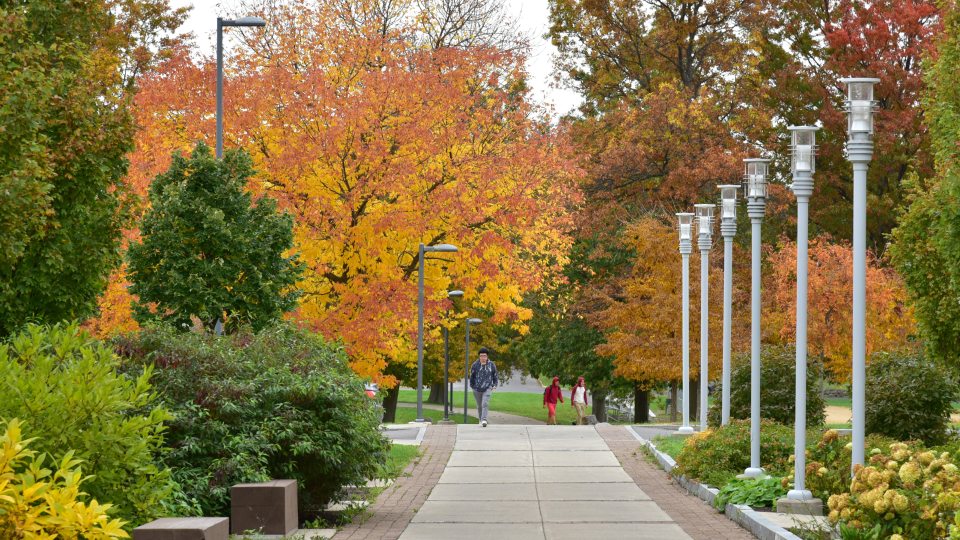 From shelter from the summer sun to the splendor of autum leaves to supporting animals and an ecosystem, SUNY Oswego's trees are a signature part of campus.