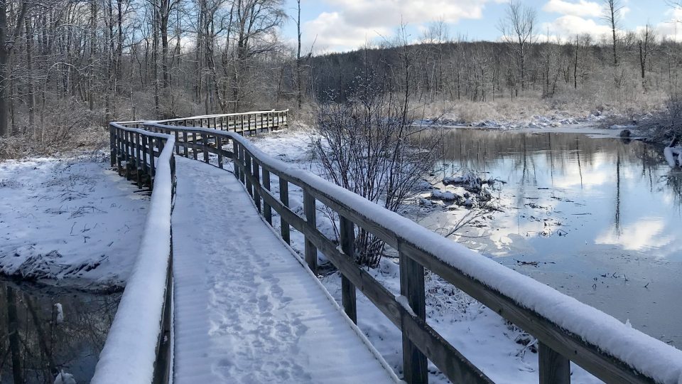 A wintry trail at Rice Creek Field Station