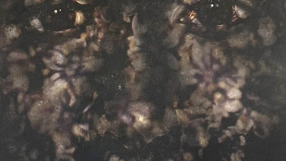Dense face-related artwork by Juan Perdiguero