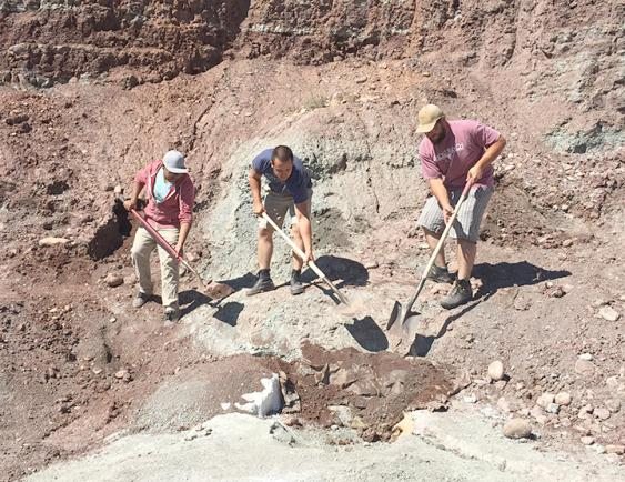 Students digging