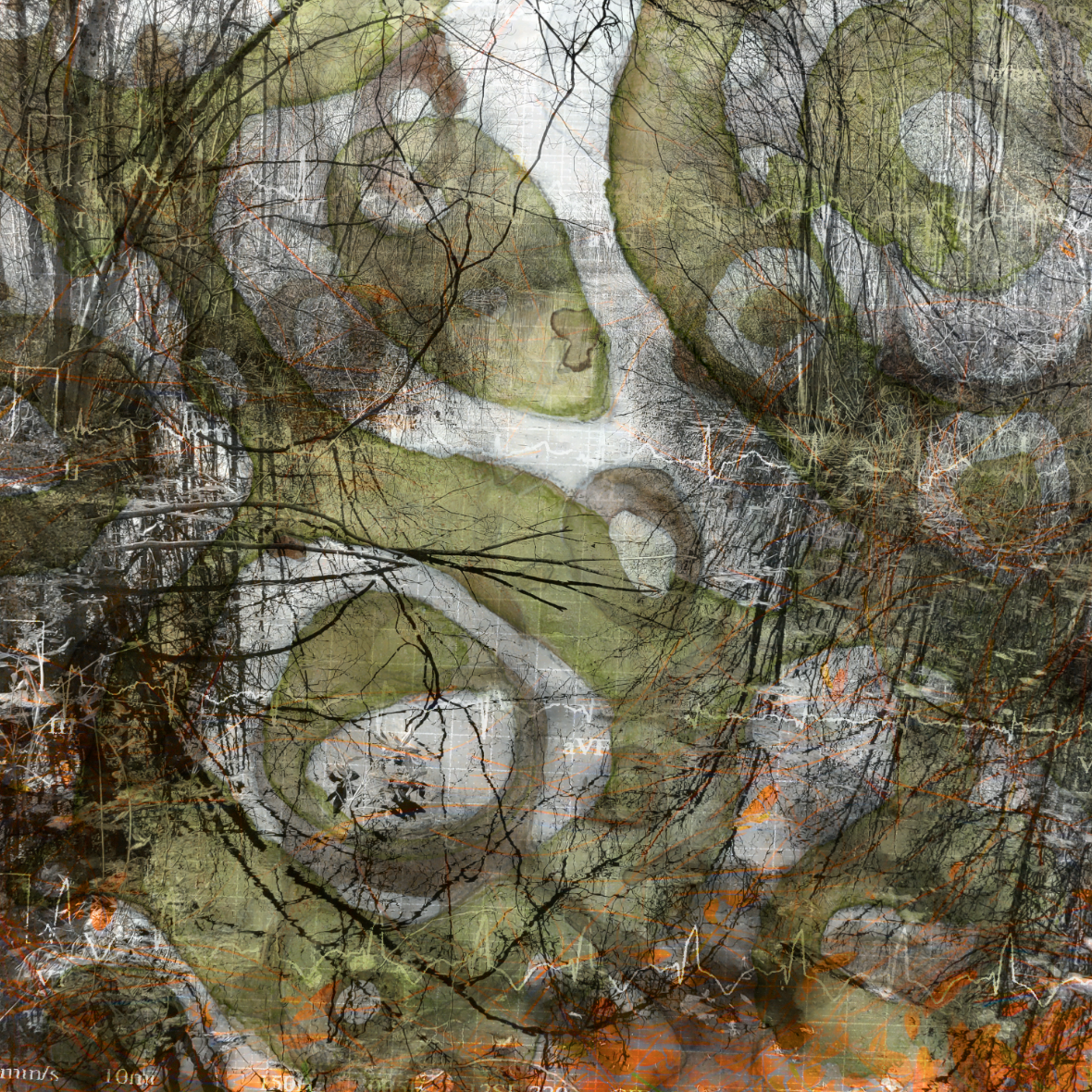 Multimedia piece by Amy Bartell